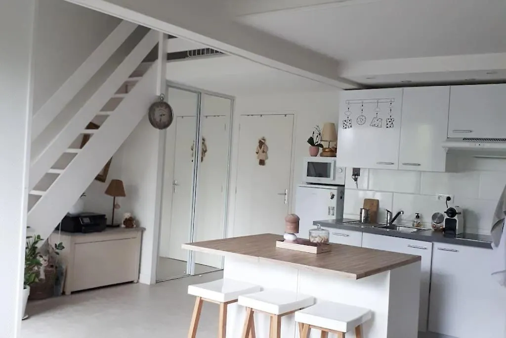 Cosy Home - 2 A 4 Pers - Aeroport - Vieux Blagnac