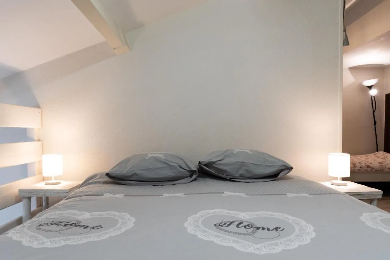 Cosy Home - 2 A 4 Pers - Aeroport - Vieux Blagnac