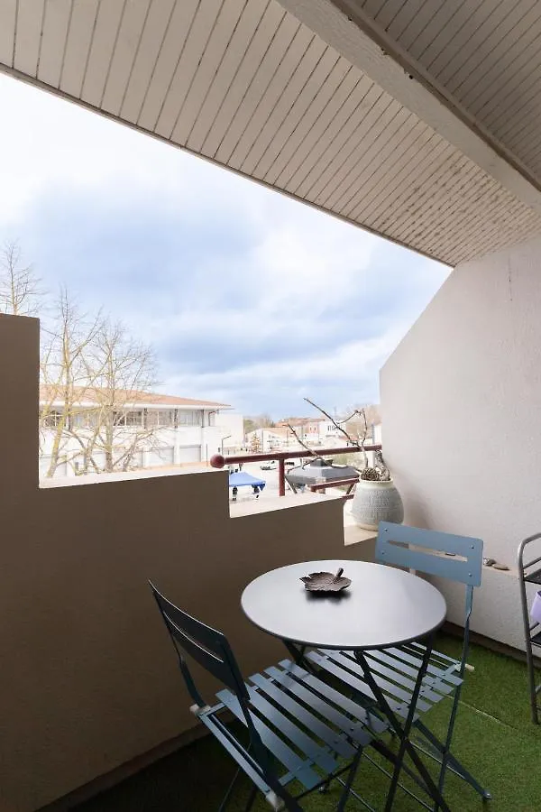 Cosy Home - 2 A 4 Pers - Aeroport - Vieux Blagnac Appartement