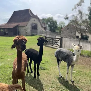 La Borie Fons (Lot)